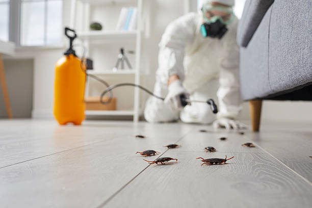 Post-Treatment Bed Bug Interceptor Monitoring in Cedar Point